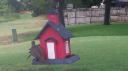/Birds/Thumbs/20240718/found20240718-154631.png 