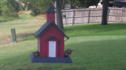 /Birds/Thumbs/20240718/found20240718-172041.png 