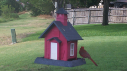 /Birds/Thumbs/20240718/found20240718-173623.png 