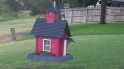 /Birds/Thumbs/20240718/found20240718-175519.png 