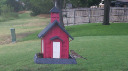 /Birds/Thumbs/20240718/found20240718-180113.png 