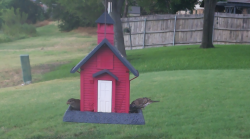 /Birds/Thumbs/20240718/found20240718-180555.png 