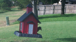 /Birds/Thumbs/20240718/found20240718-184523.png 