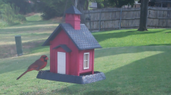 /Birds/Thumbs/20240720/found20240720-095456.png 