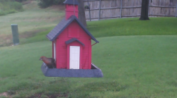 /Birds/Thumbs/20240724/found20240724-064810.png 
