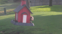 /Birds/Thumbs/20240724/found20240724-082347.png 