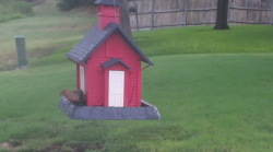 /Birds/Thumbs/20240724/found20240724-092640.png 