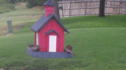 /Birds/Thumbs/20240724/found20240724-150114.png 