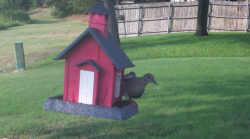 /Birds/Thumbs/20240724/found20240724-182019.png 