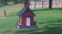 /Birds/Thumbs/20240724/found20240724-182613.png 