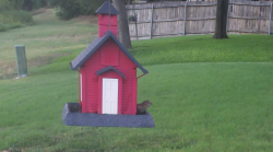 /Birds/Thumbs/20240724/found20240724-183403.png 