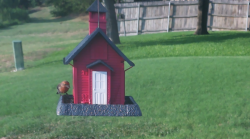 /Birds/Thumbs/20240724/found20240724-190647.png 