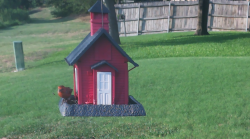 /Birds/Thumbs/20240724/found20240724-190846.png 