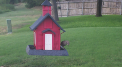 /Birds/Thumbs/20240724/found20240724-192747.png 