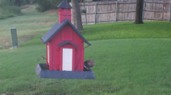 /Birds/Thumbs/20240724/found20240724-195817.png 