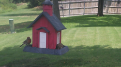 /Birds/Thumbs/20240727/found20240727-133315.png 