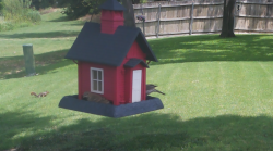 /Birds/Thumbs/20240728/found20240728-125640.png 